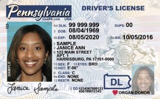 pennsylvania-fake-drivers-license