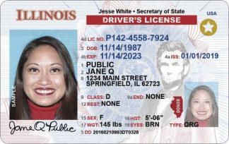 illinois-fake-driving-license