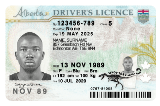Alberta DL Front
