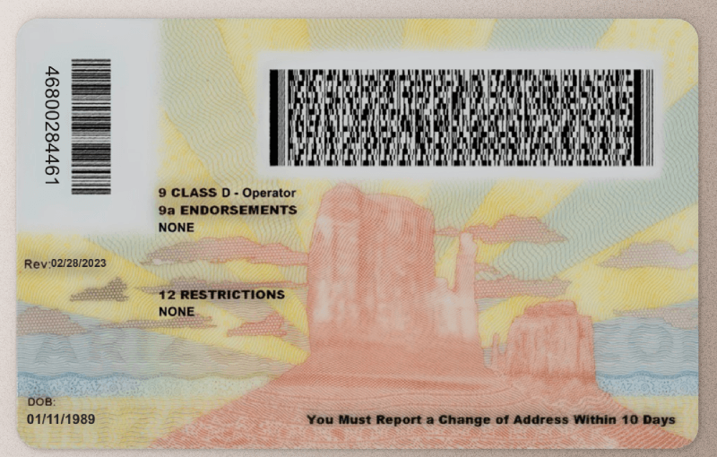 Arizona Driver's License - Image 2