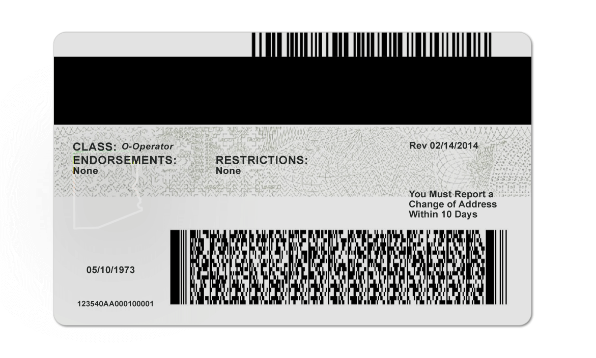 Arizona Driver's License - Image 3