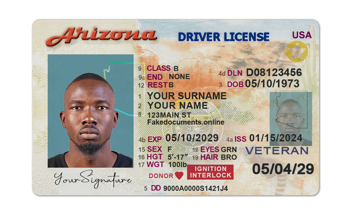 Arizona Driver's License - Image 4