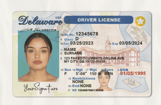Delaware-Fake-dl