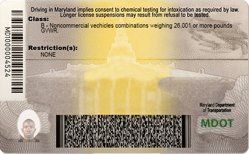 Maryland-DL-Backside