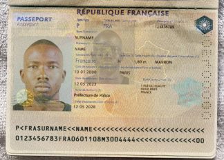 France PSD Passeport 1