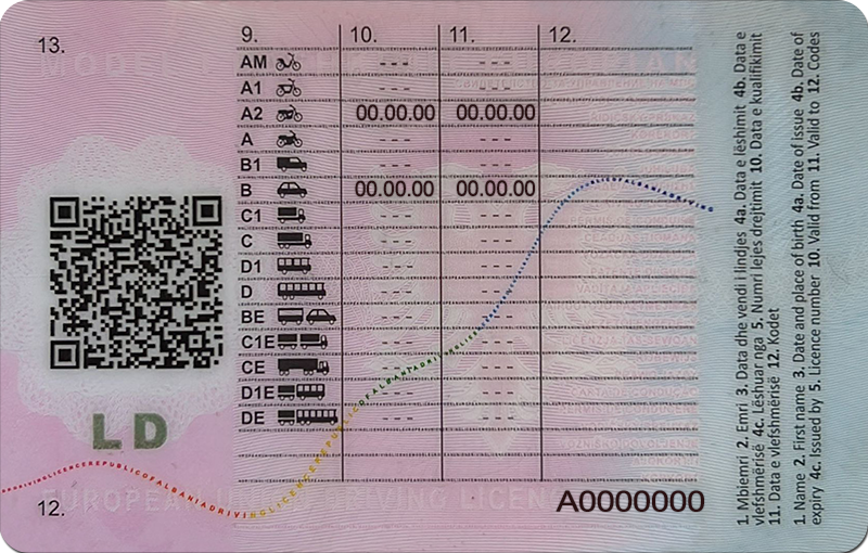 Albania Driver's License template - Image 2