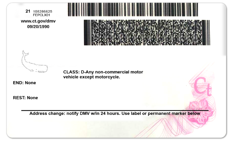 Connecticut Driver's License template - Image 2