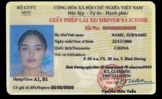 Vietnam DL front