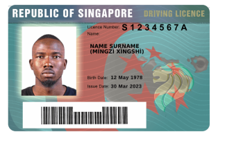 Singapre DL template FRONT