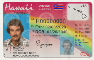 hawaii dl template - front