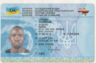 Ukraine DL-front