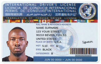 International Driver License